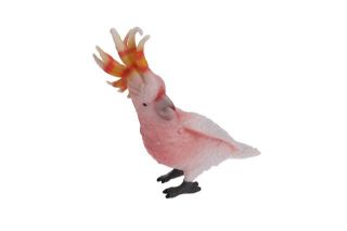 Obrázek z Papoušek kakadu figurka 8cm 